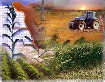 servicios integrales agroganaderos, servicios integrales agroforestales, agricultura, granjas, cooperativas, industria.