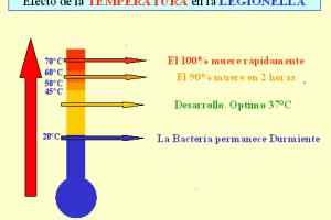 efecto+de+la+temperartura+en+la+legionella